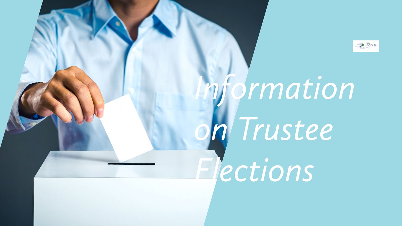 Information on Trustee Elections
